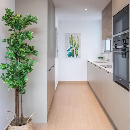 Daire Newly Built Modern Penthouse In Puerto Banus