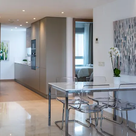 Newly Built Modern Penthouse In Puerto Banus