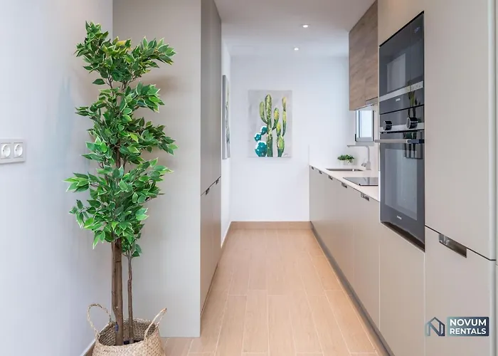 Daire Newly Built Modern Penthouse In Puerto Banus